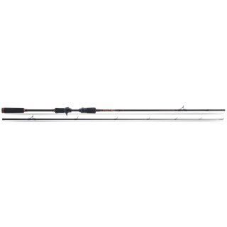 Saenger Pro-T Gold Baitcast Hecht 2,10m 25-70g